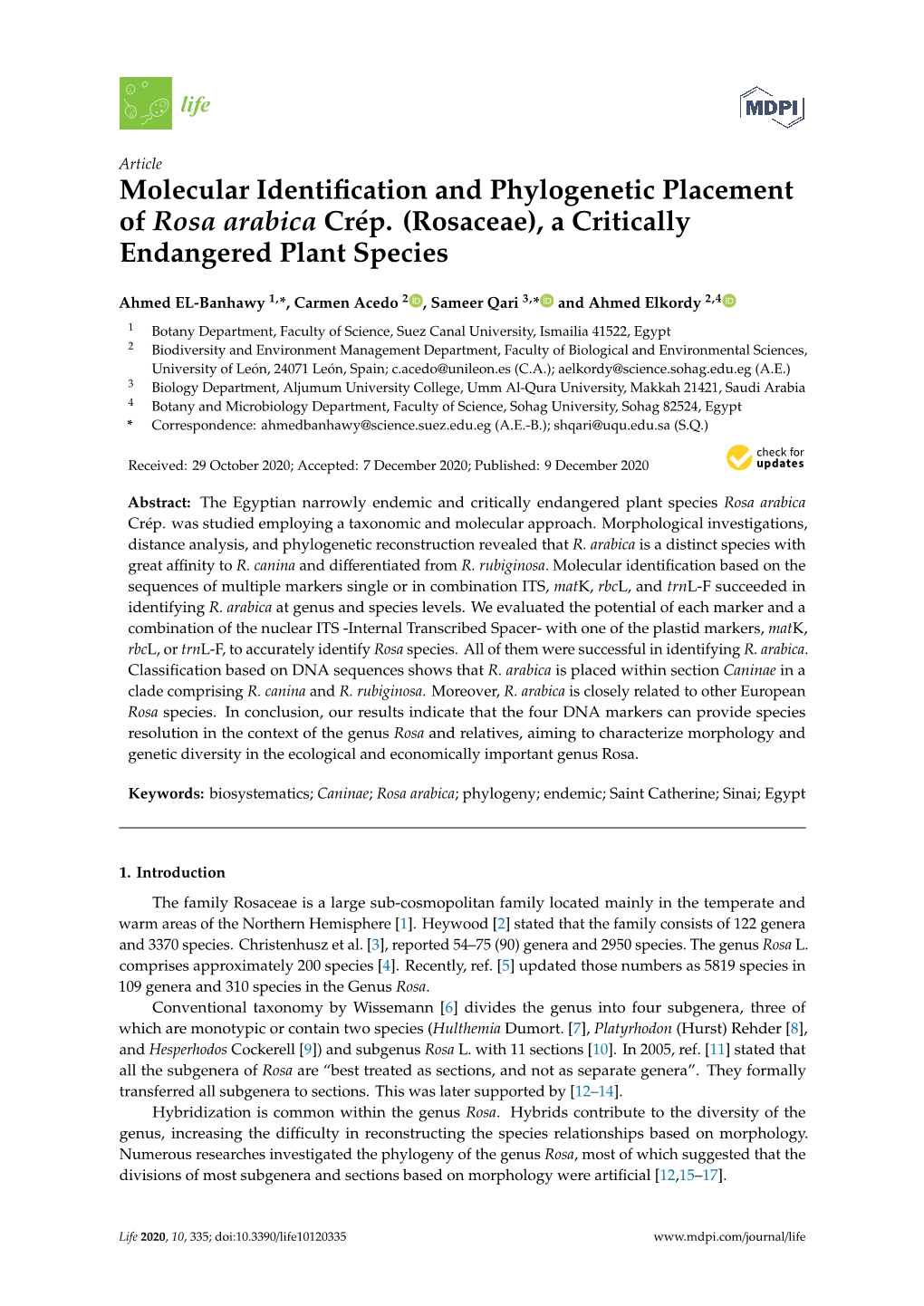 Molecular Identification and Phylogenetic Placement of Rosa