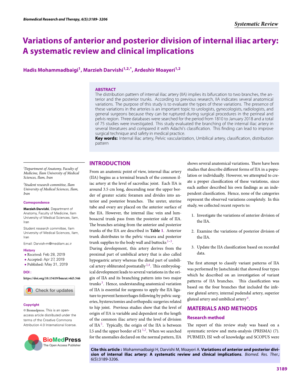 Variations of Anterior and Posterior Division of Internal Iliac Artery: a Systematic Review and Clinical Implications