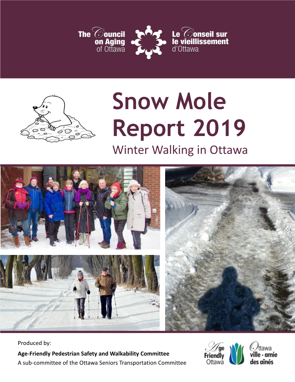 Snow Mole Report 2019