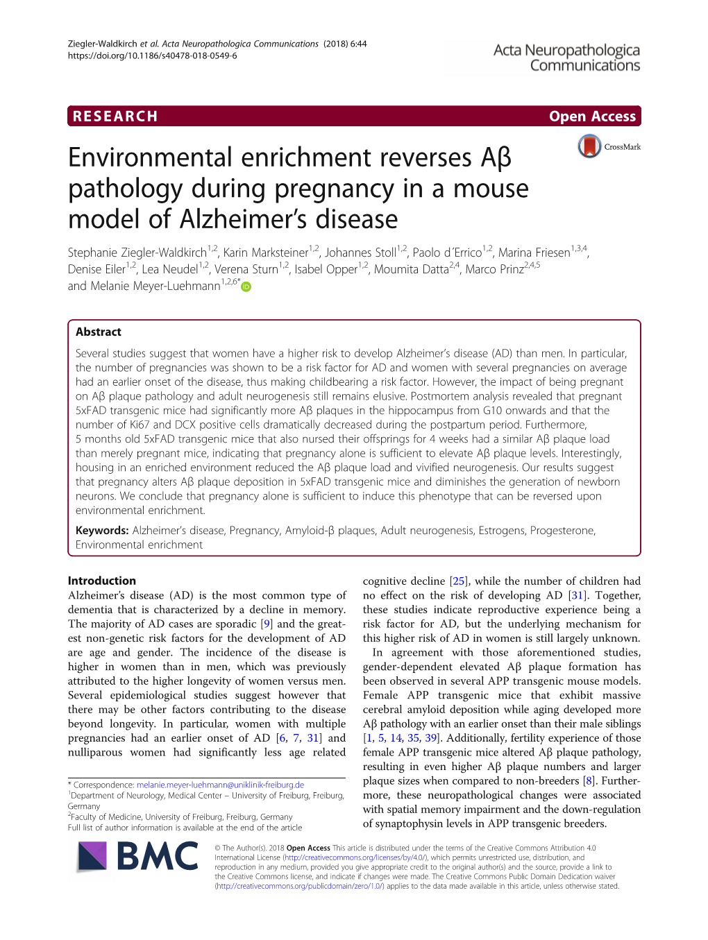 Environmental Enrichment Reverses Aβ Pathology During Pregnancy in A