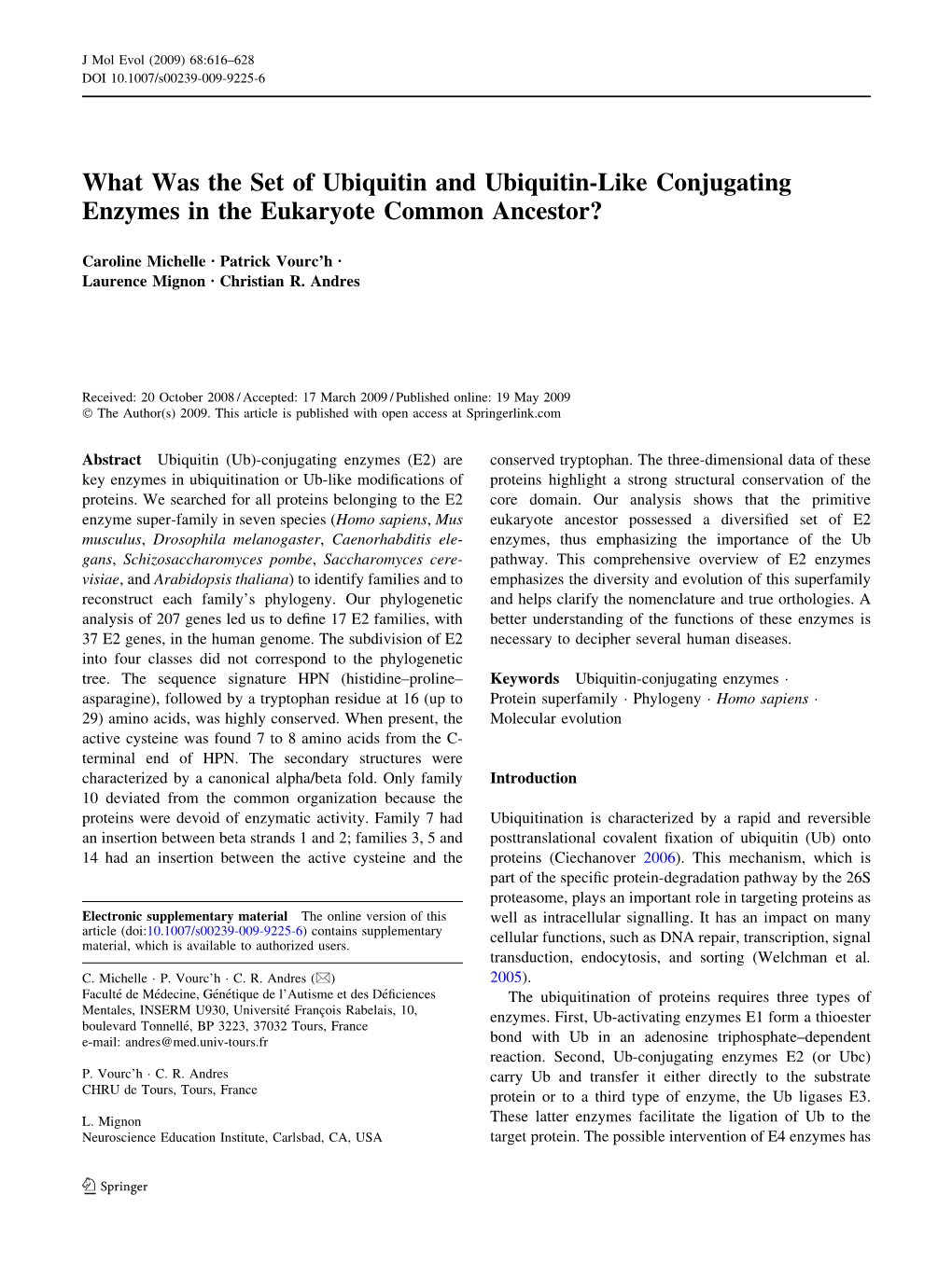 What Was the Set of Ubiquitin and Ubiquitin-Like Conjugating Enzymes in the Eukaryote Common Ancestor?