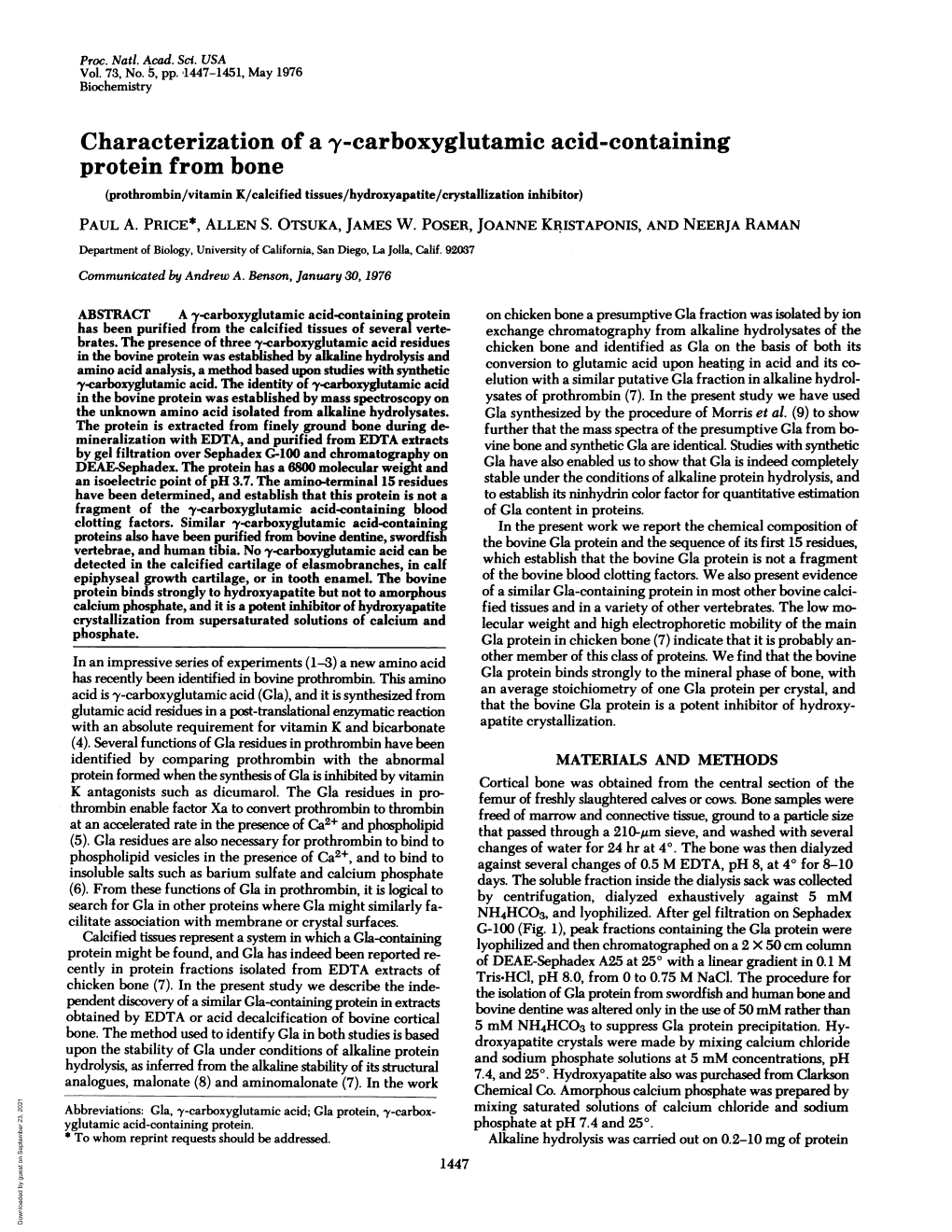 Characterization of a Y-Carboxyglutamic Acid-Containing Protein from Bone (Prothrombin/Vitamin K/Calcified Tissues/Hydroxyapatite/Crystallization Inhibitor) PAUL A