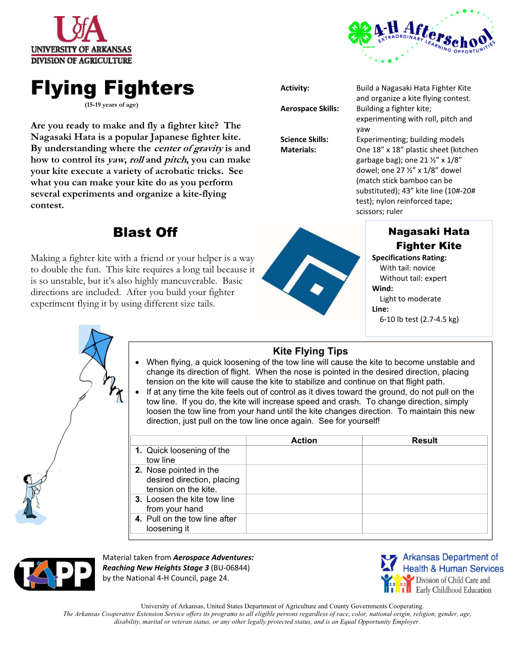 Flying Fighters and Organize a Kite Flying Contest