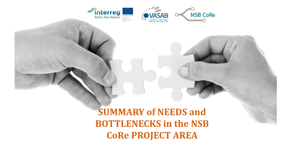 SUMMARY of NEEDS and BOTTLENECKS in the NSB Core