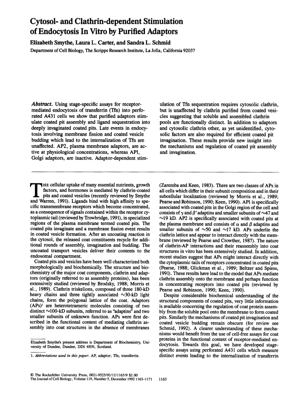 Cytosol- and Clathrin-Dependent Stimulation of Endocytosis in Vitro by Purified Adaptors Elizabeth Smythe, Laura L