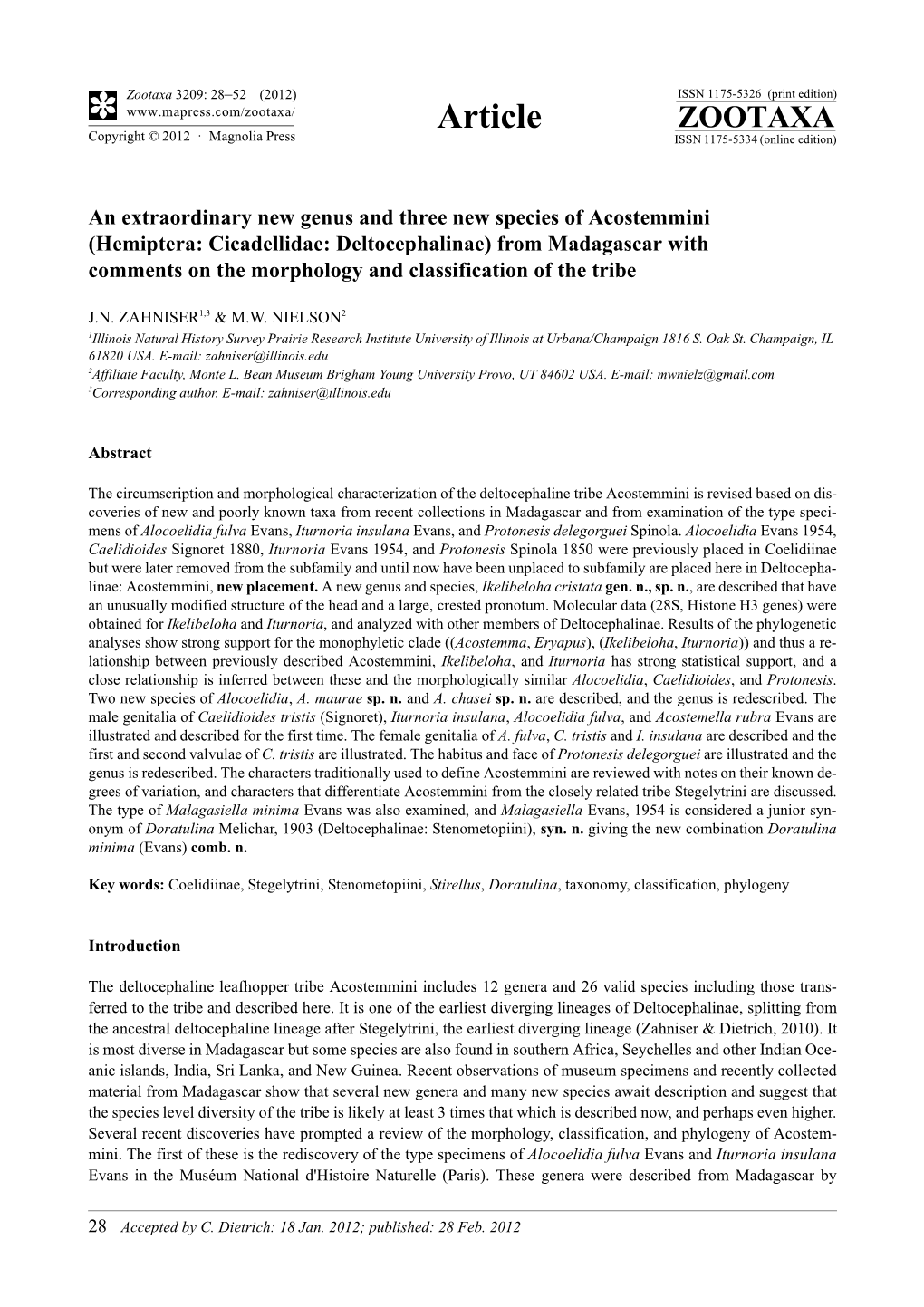 An Extraordinary New Genus and Three New Species of Acostemmini (Hemiptera: Cicadellidae: Deltocephalinae) from Madagascar With