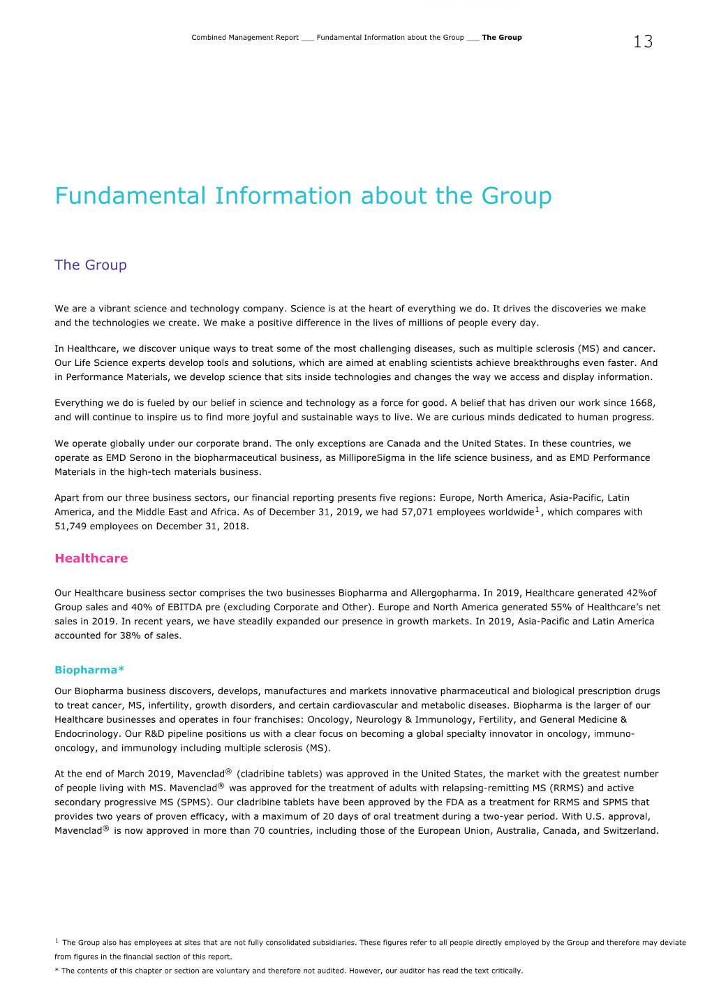 Fundamental Information About the Group ___ the Group 13