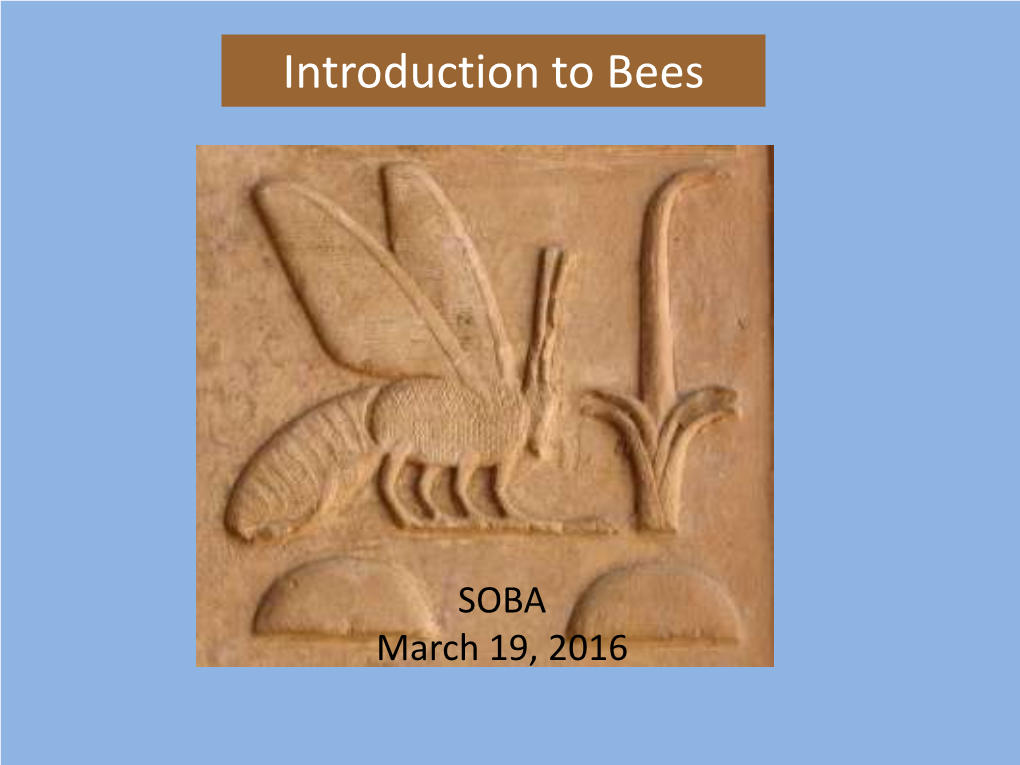 Introduction to Bees