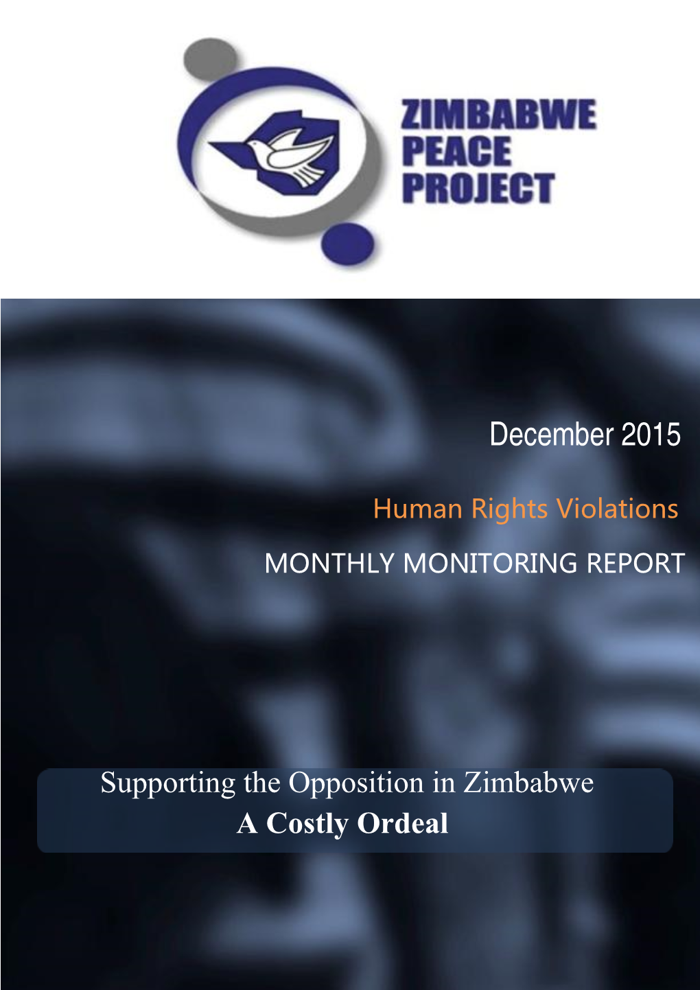 December 2015 Human Rights Violations MONTHLY MONITORING REPORT