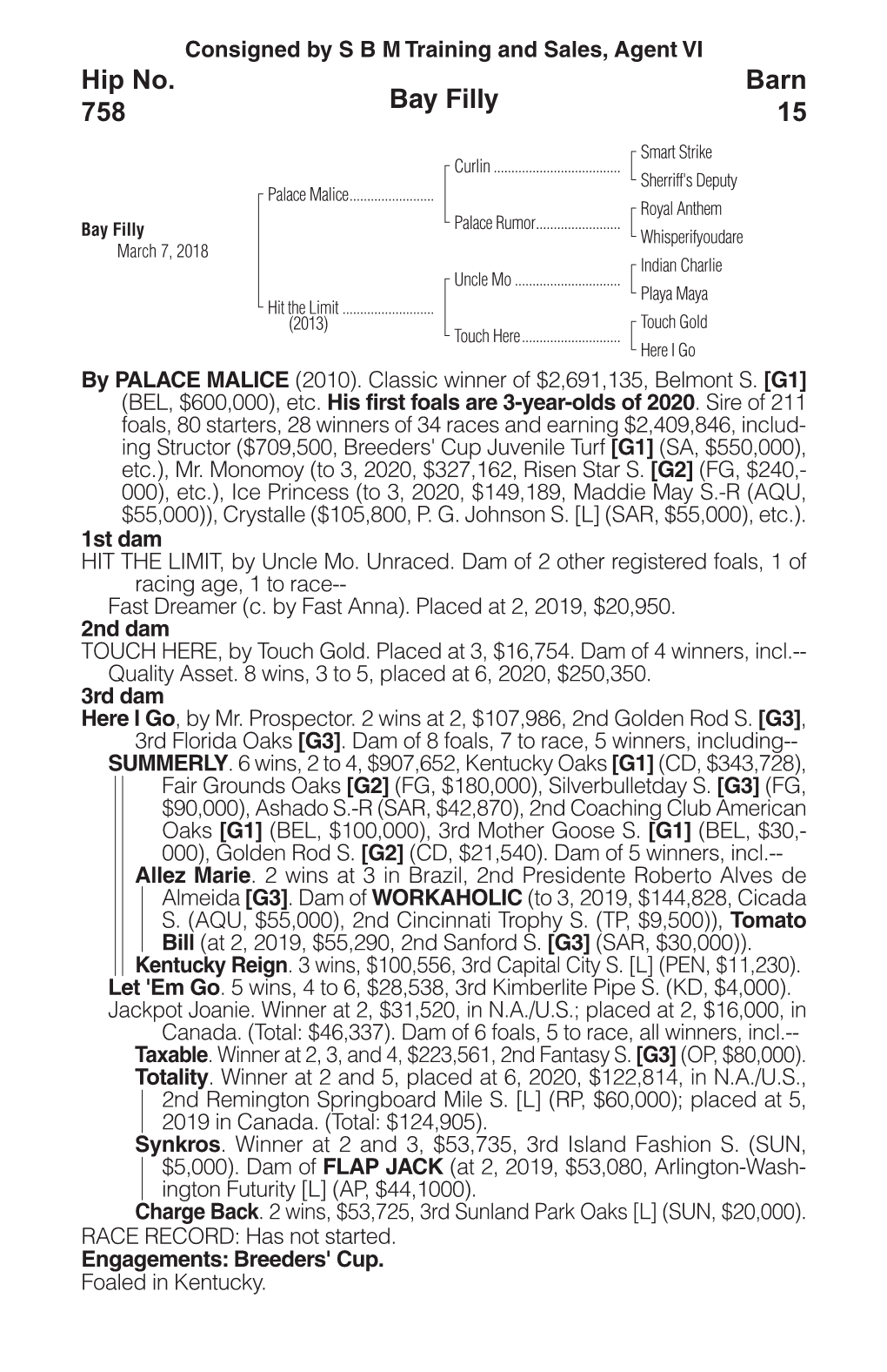 Bay Filly Barn 15 Hip No