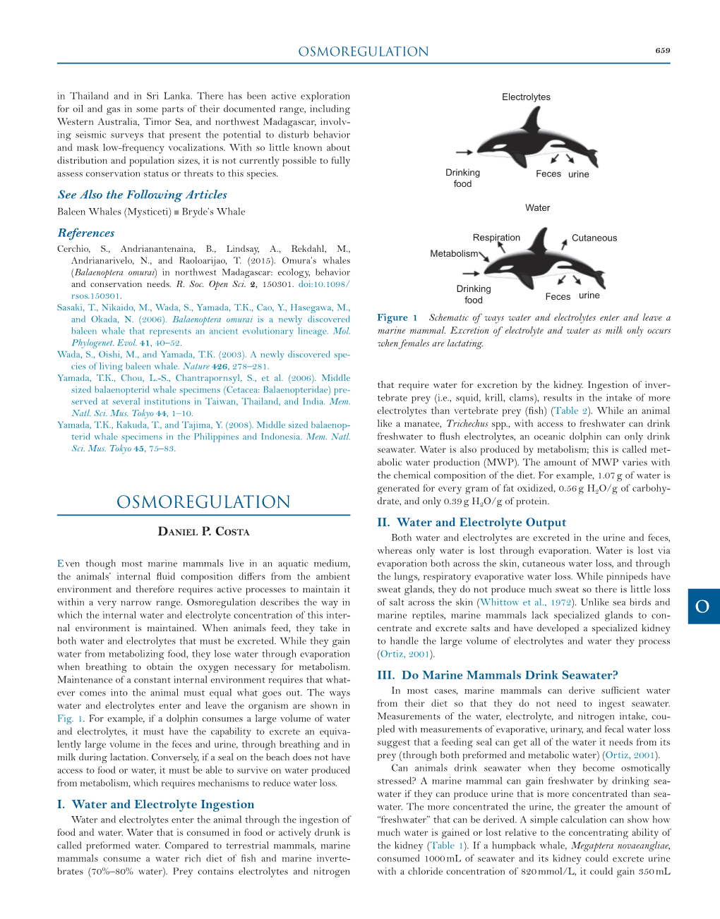 Encyclopedia of Marine Mammals