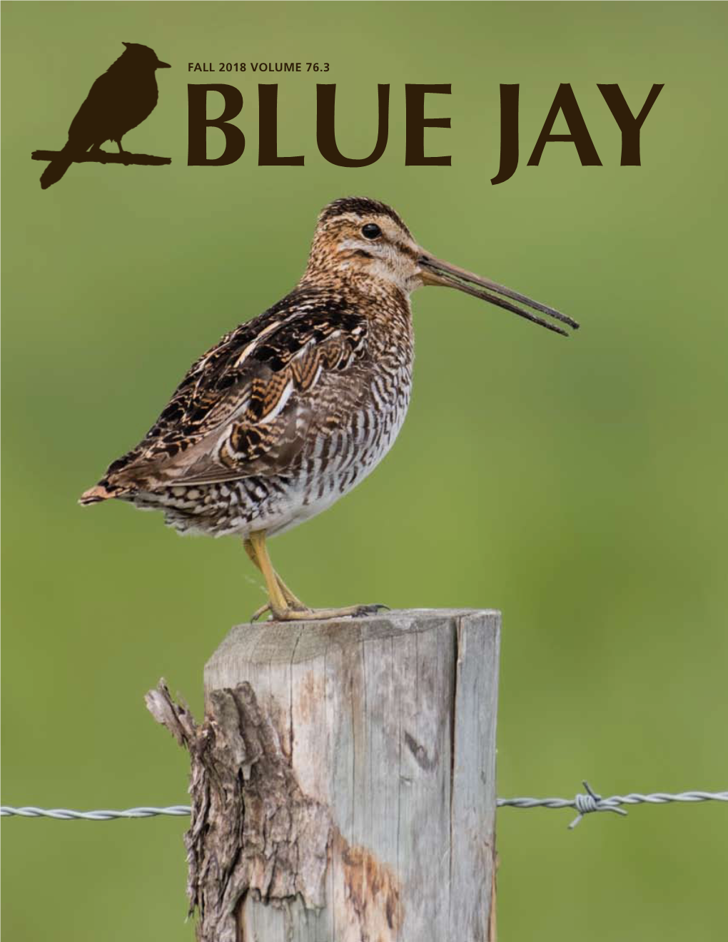 Fall 2018 Volume 76.3 Blue Jay 6 10 16