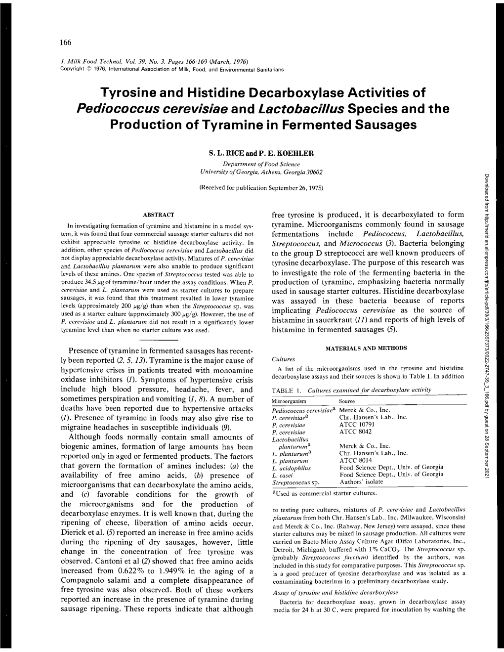 Tyrosine and Histidine Decarboxylase Activities of Pediococcus Cerevisiae and Lactobacillus Species and the Production of Tyramine in Fermented Sausages