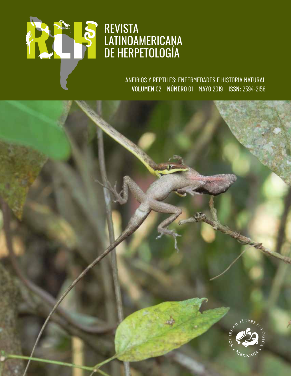 Revista Latinoamericana De Herpetologia