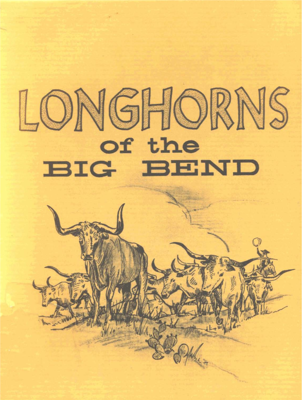 Longhorns of the Big Bend