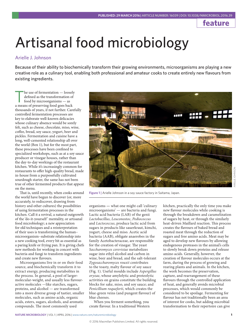 Artisanal Food Microbiology Arielle J