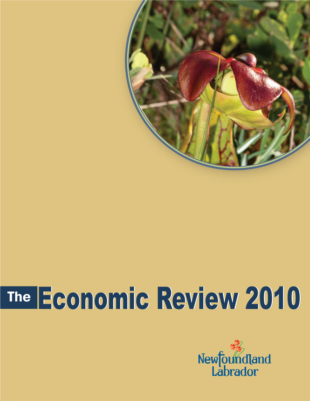 Economic Review 2010 Should Be Directed To: Global Economic Environment