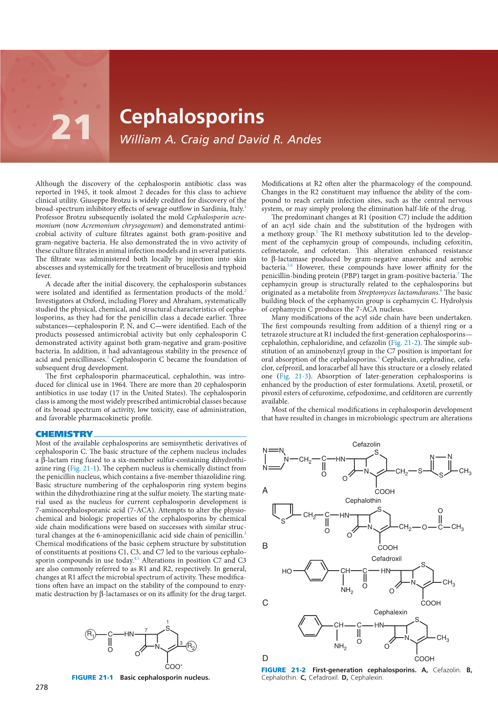 21 Cephalosporins