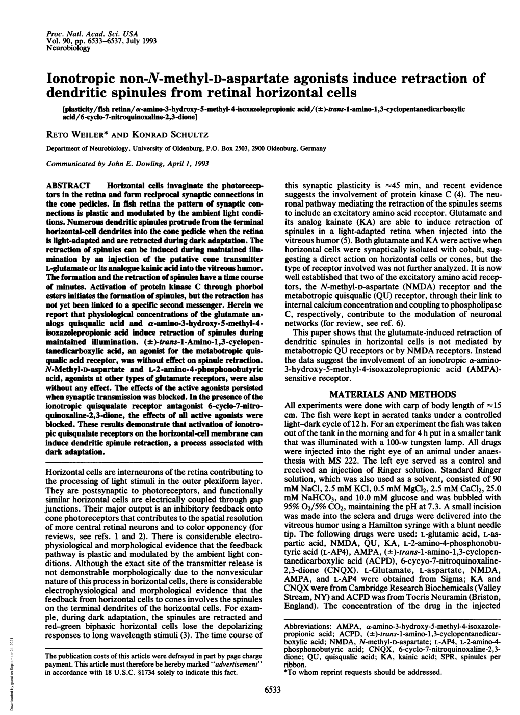 Lonotropic Non-N-Methyl-D-Aspartate Agonists Induce Retraction Of