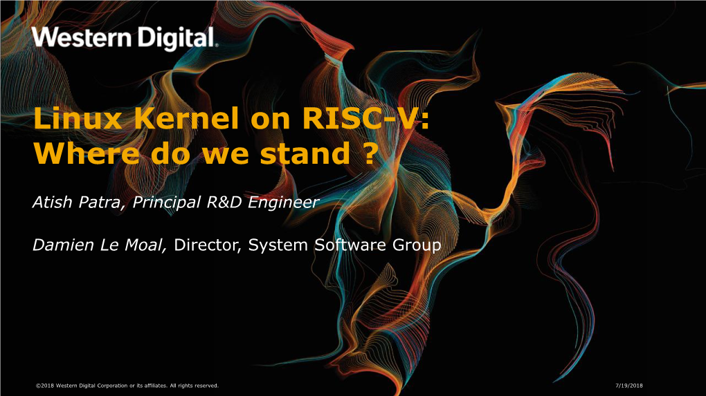 Linux Kernel on RISC-V: Where Do We Stand ?