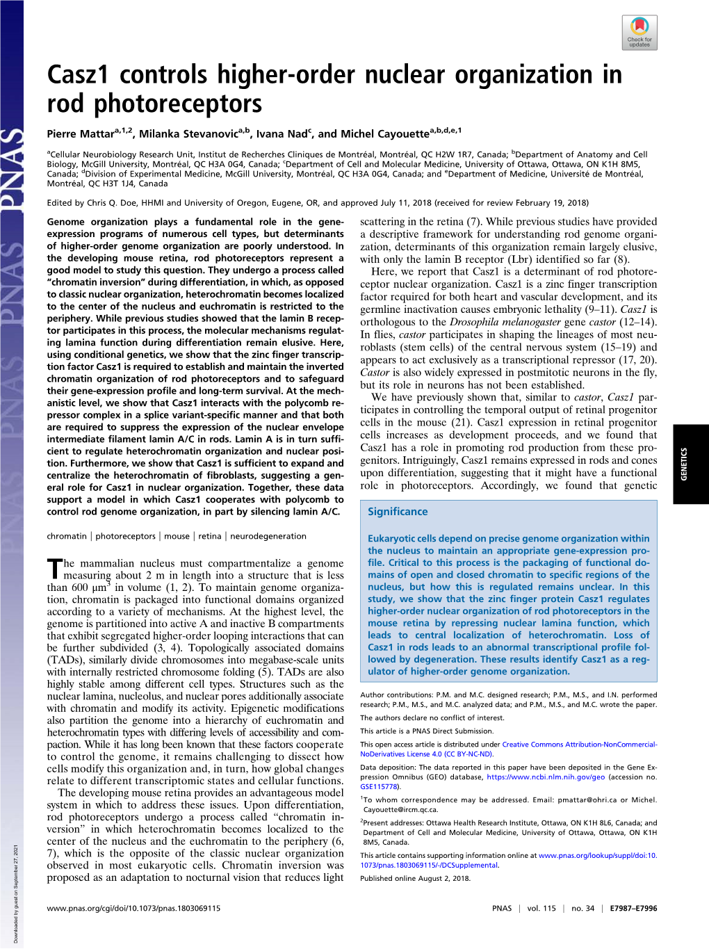 Casz1 Controls Higher-Order Nuclear Organization in Rod Photoreceptors