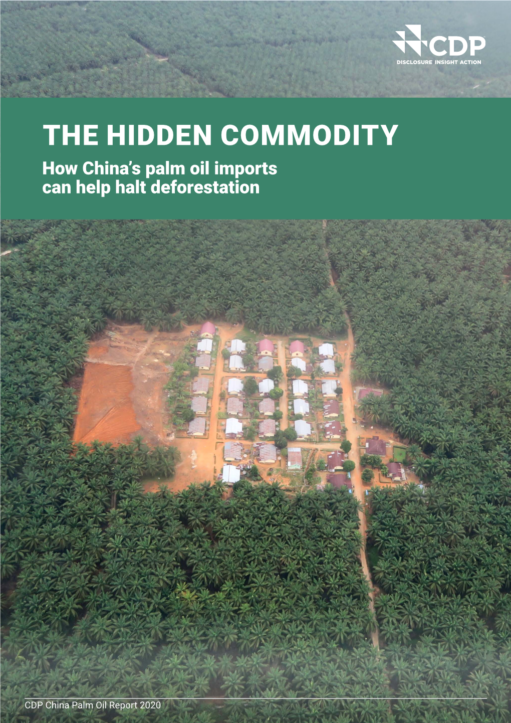 The Hidden Commodity: How China's Palm Oil Imports Can Help Halt