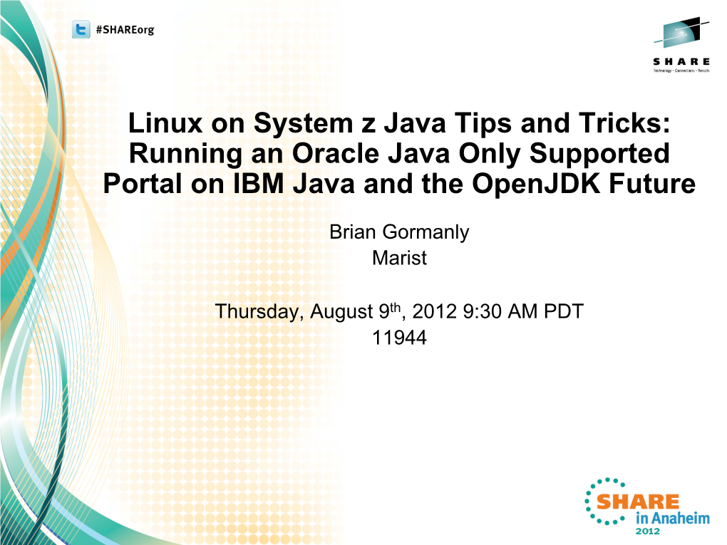 Linux on System Z Java Tips and Tricks: Running an Oracle Java Only Supported Portal on IBM Java and the Openjdk Future