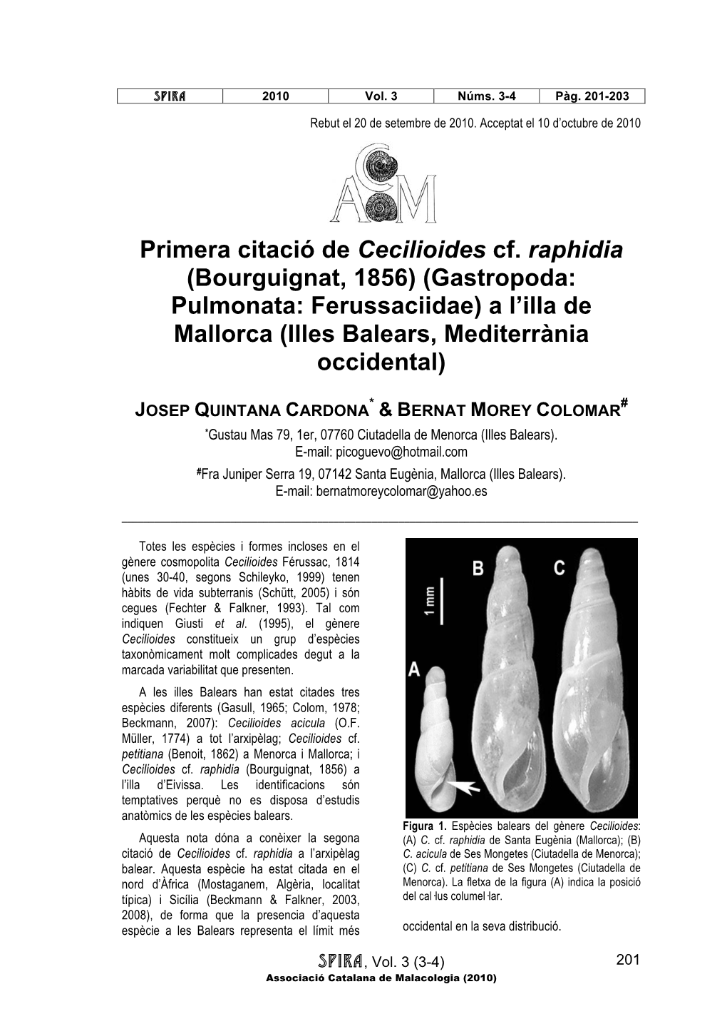 Primera Citació De Cecilioides Cf. Raphidia (Bourguignat, 1856) (Gastropoda: Pulmonata: Ferussaciidae) a L’Illa De Mallorca (Illes Balears, Mediterrània Occidental)