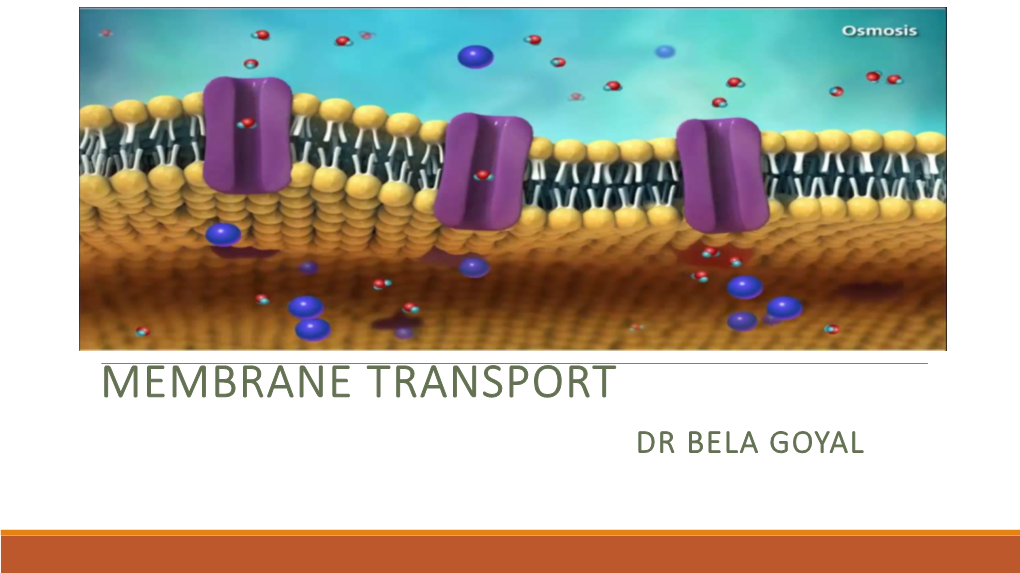 Membrane Transport Dr Bela Goyal
