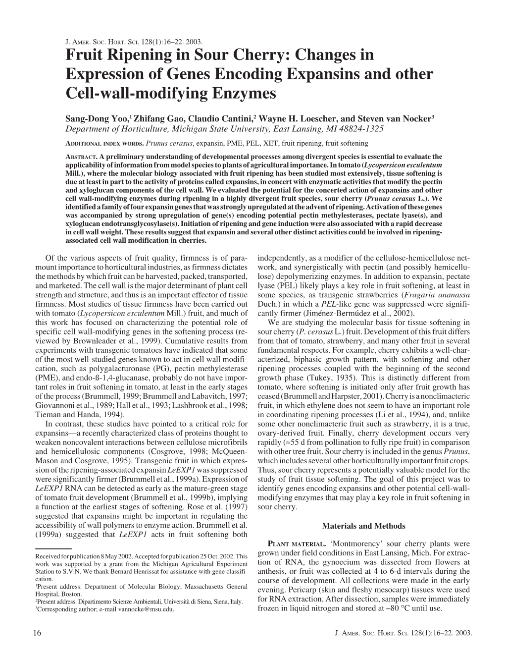 Fruit Ripening in Sour Cherry: Changes in Expression of Genes Encoding Expansins and Other Cell-Wall-Modifying Enzymes