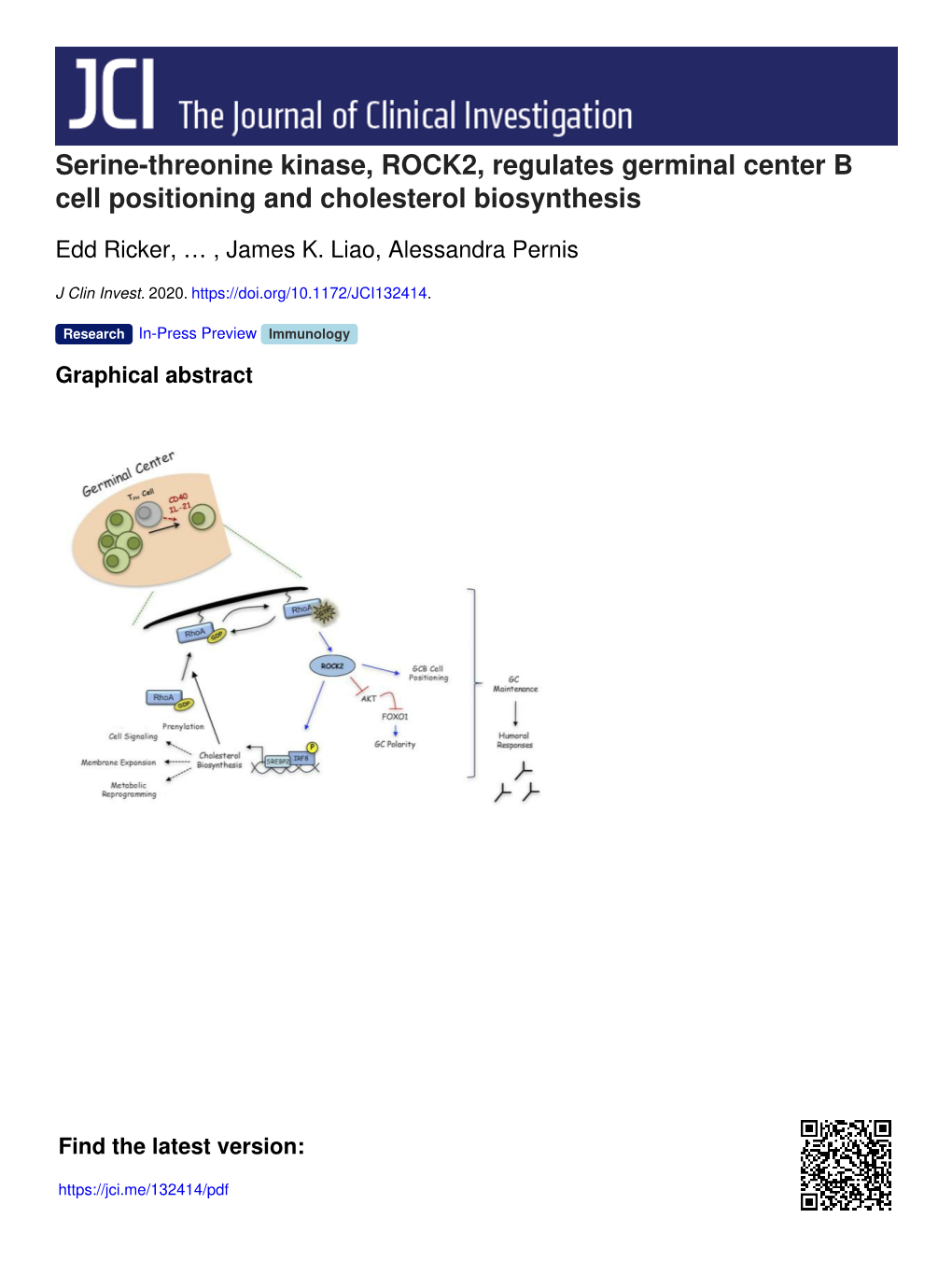 Serine-Threonine Kinase, ROCK2, Regulates Germinal Center B Cell Positioning and Cholesterol Biosynthesis