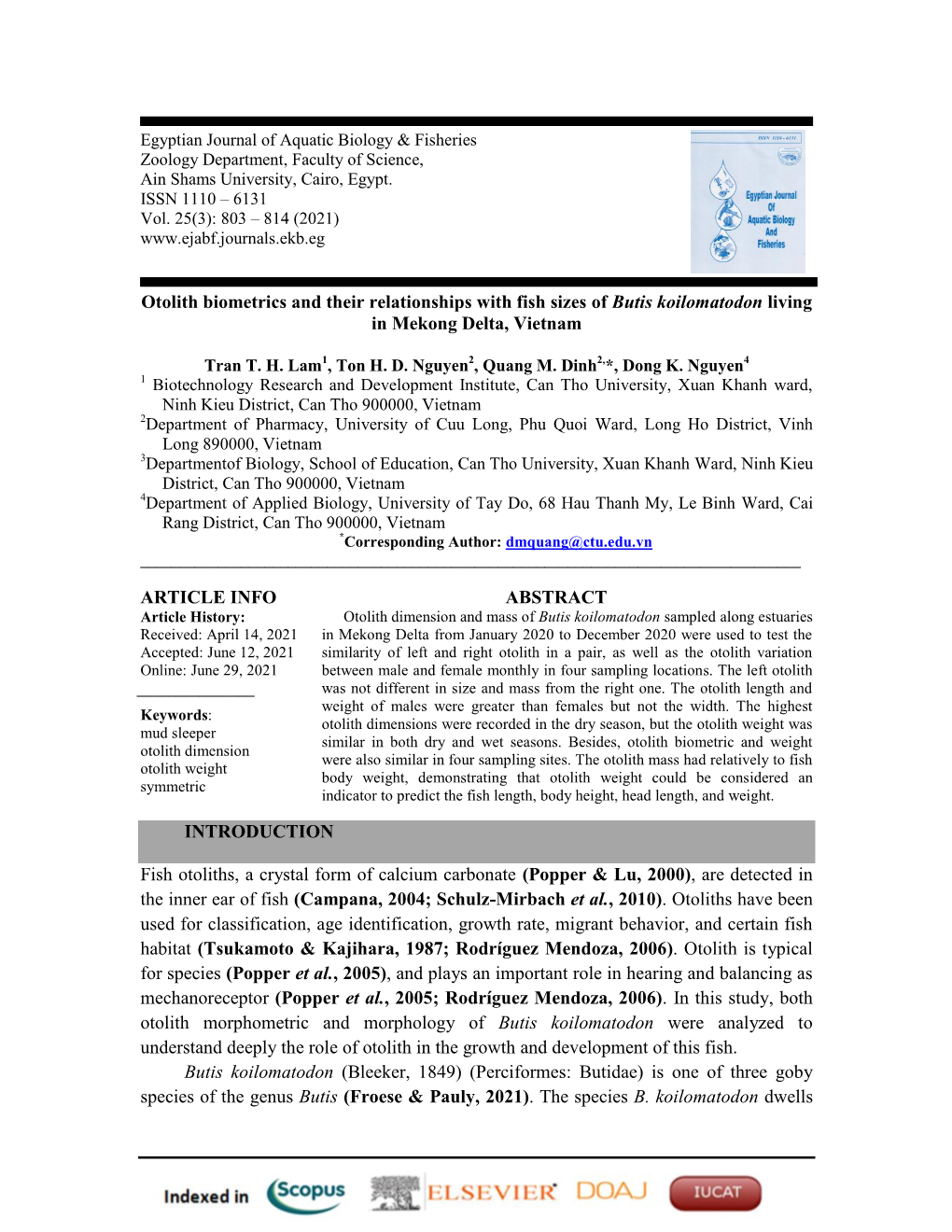 Otolith Biometrics and Their Relationships with Fish Sizes of Butis Koilomatodon Living in Mekong Delta, Vietnam