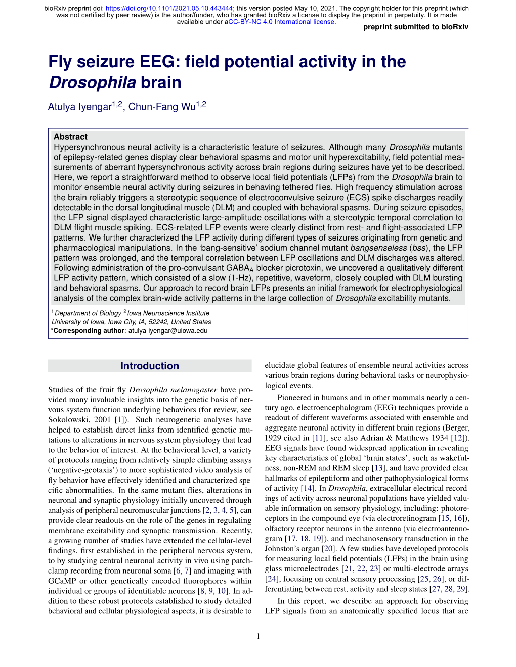 Fly Seizure EEG: Field Potential Activity in the Drosophila Brain