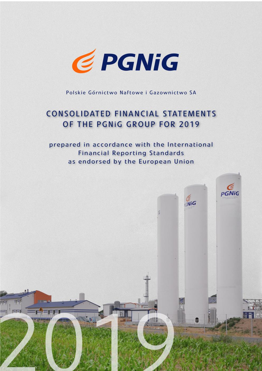 Consolidated Financial Statements of the Pgnig Group for 2019