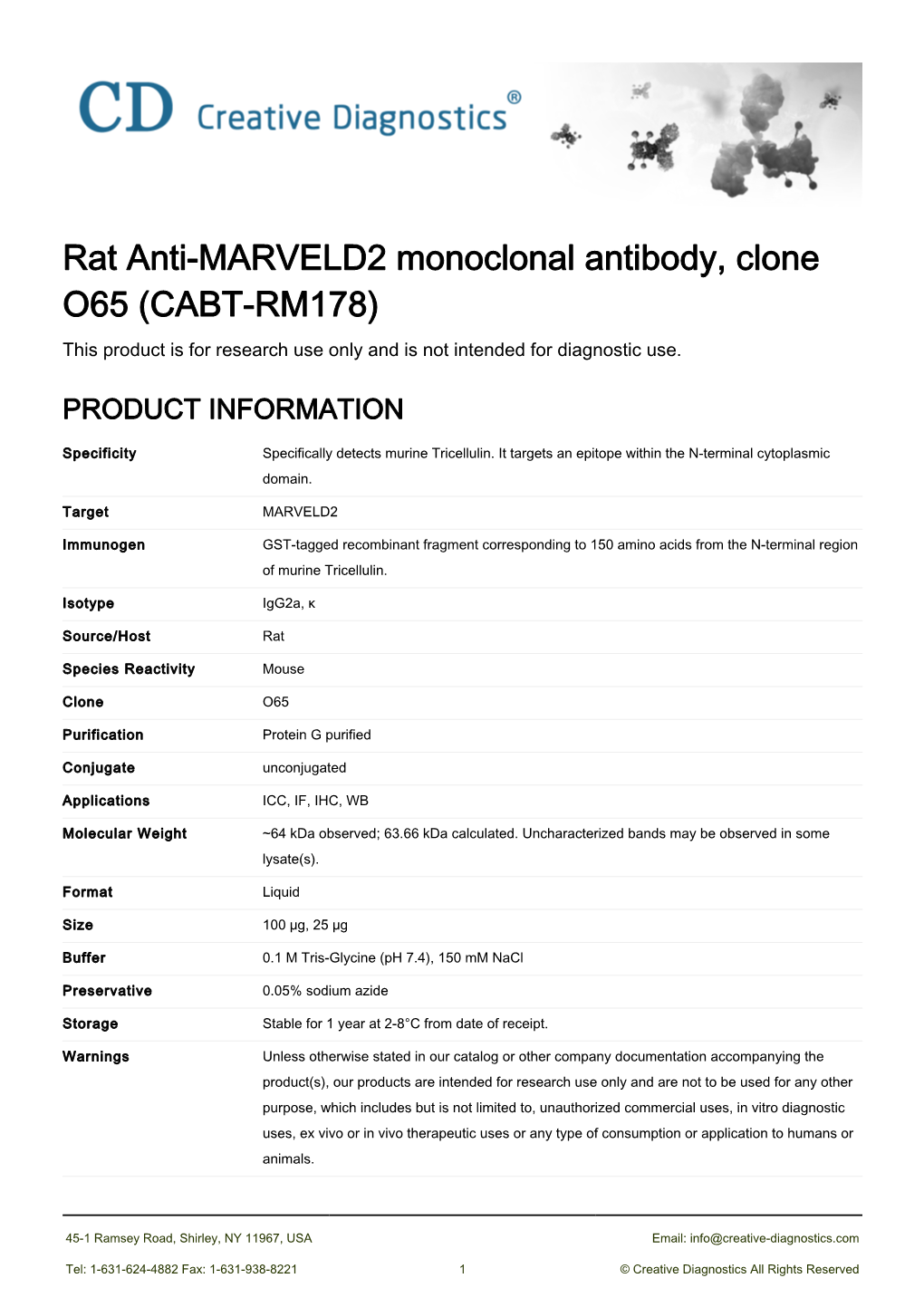 Rat Anti-MARVELD2 Monoclonal Antibody, Clone O65 (CABT-RM178) This Product Is for Research Use Only and Is Not Intended for Diagnostic Use
