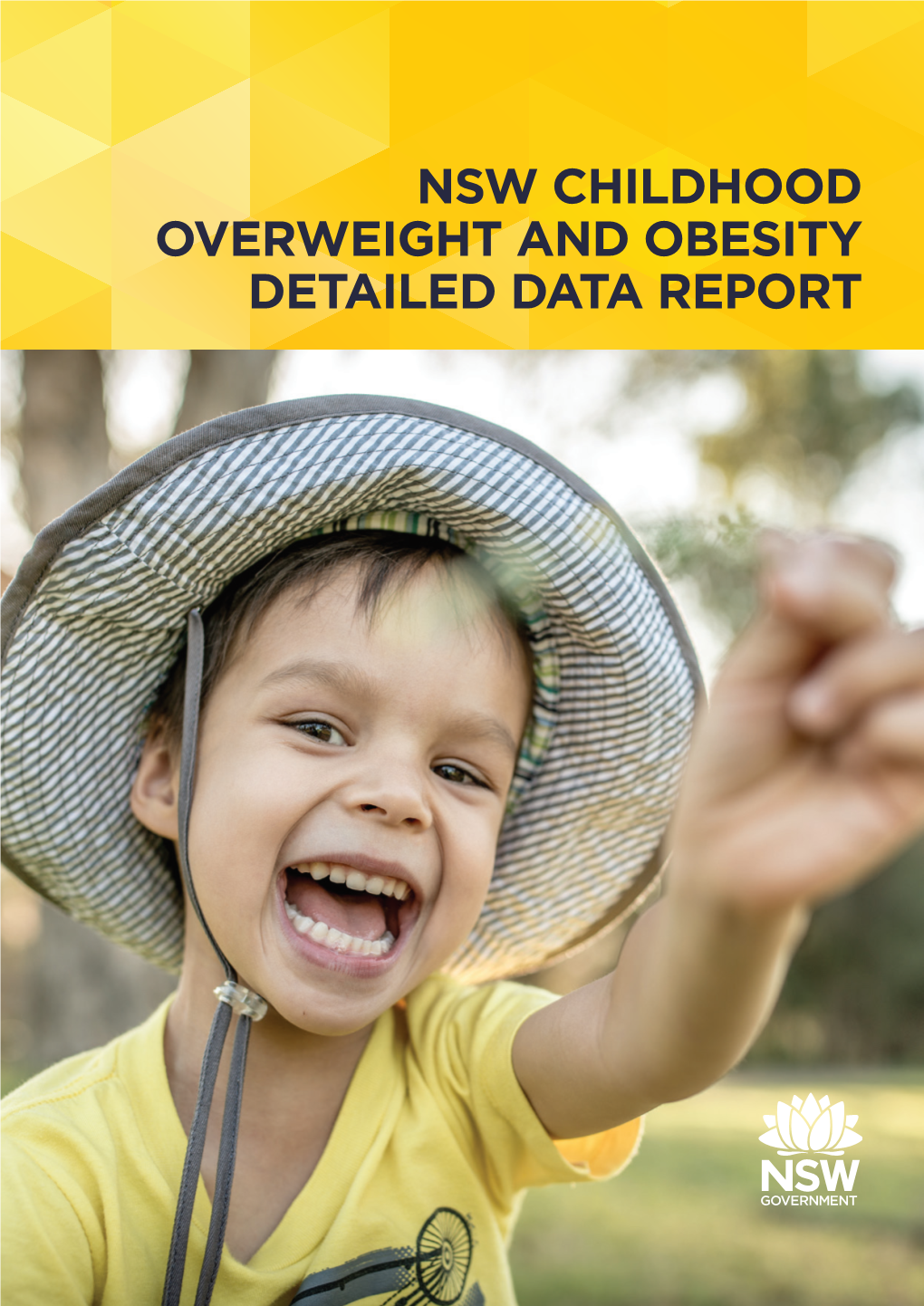 CHILDHOOD OVERWEIGHT and OBESITY DETAILED DATA REPORT NSW Ministry of Health 100 Christie Street ST LEONARDS NSW 2065 Tel