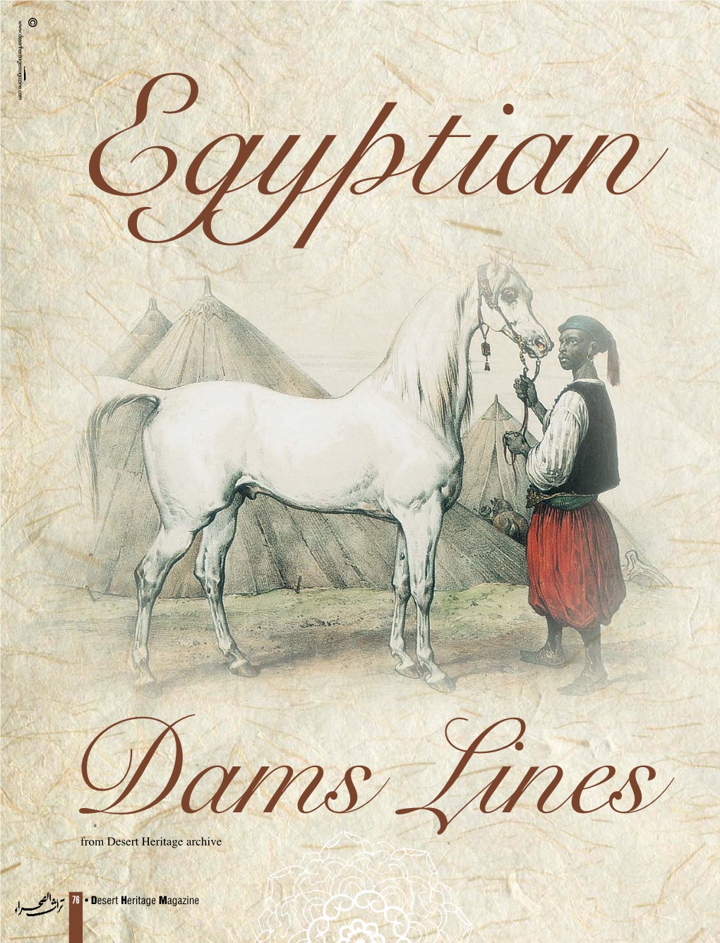 Egyptian Dams Lines