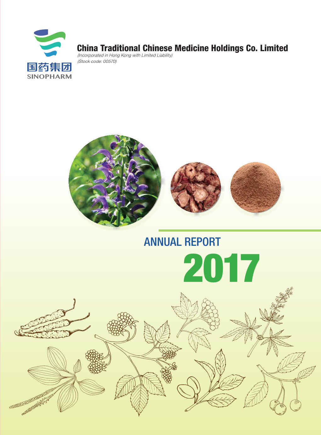 Annual Report 2017 2017