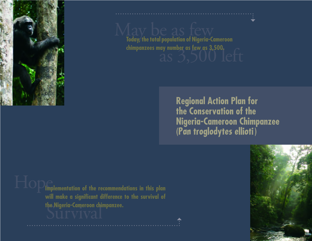 Regional Action Plan for the Conservation of the Nigeria-Cameroon Chimpanzee (Pan Troglodytes Ellioti)