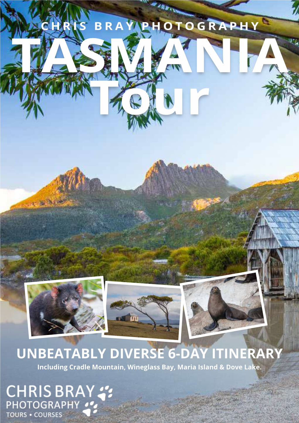 UNBEATABLY DIVERSE 6-DAY ITINERARY Including Cradle Mountain, Wineglass Bay, Maria Island & Dove Lake