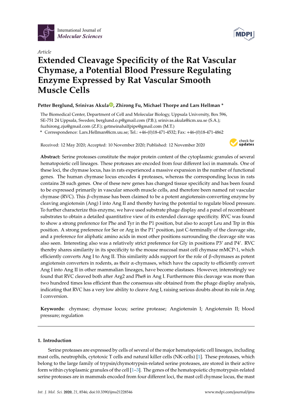 Extended Cleavage Specificity of the Rat Vascular Chymase, a Potential