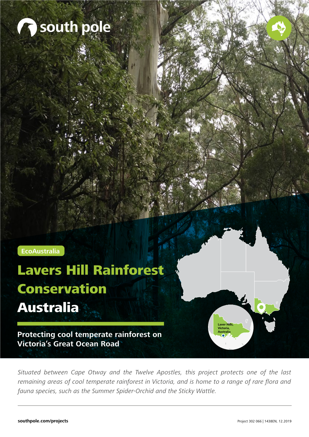 Lavers Hill Rainforest Conservation Australia