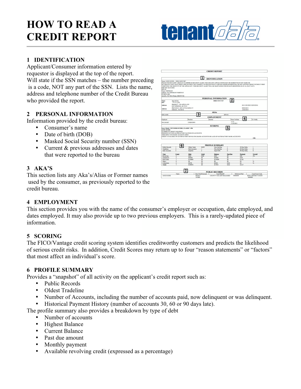 How to Read a Credit Report