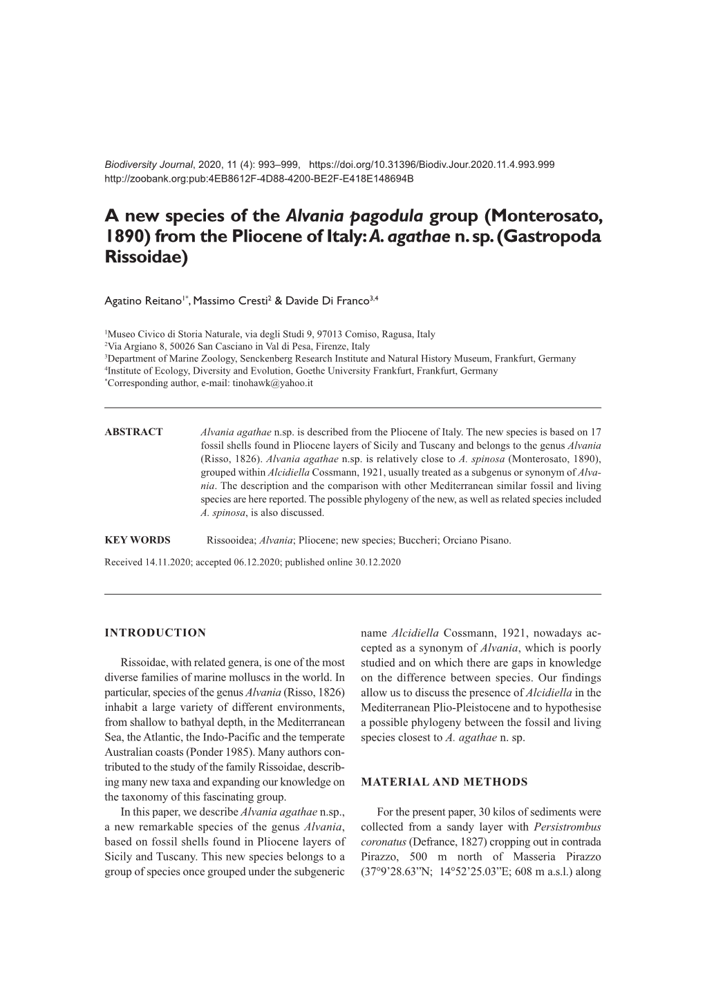 A New Species of the Alvania Pagodula Group (Monterosato, 1890) from the Pliocene of Italy: A