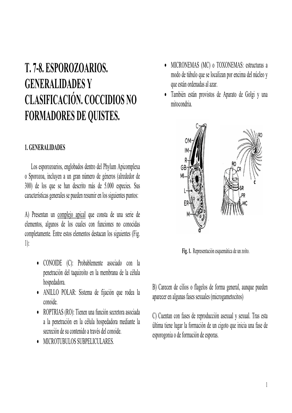 T. 7-8. Esporozoarios. Generalidades Y