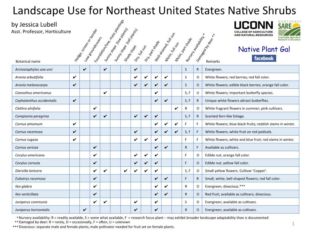 Landscape Uses for Northeast Native Shrubs