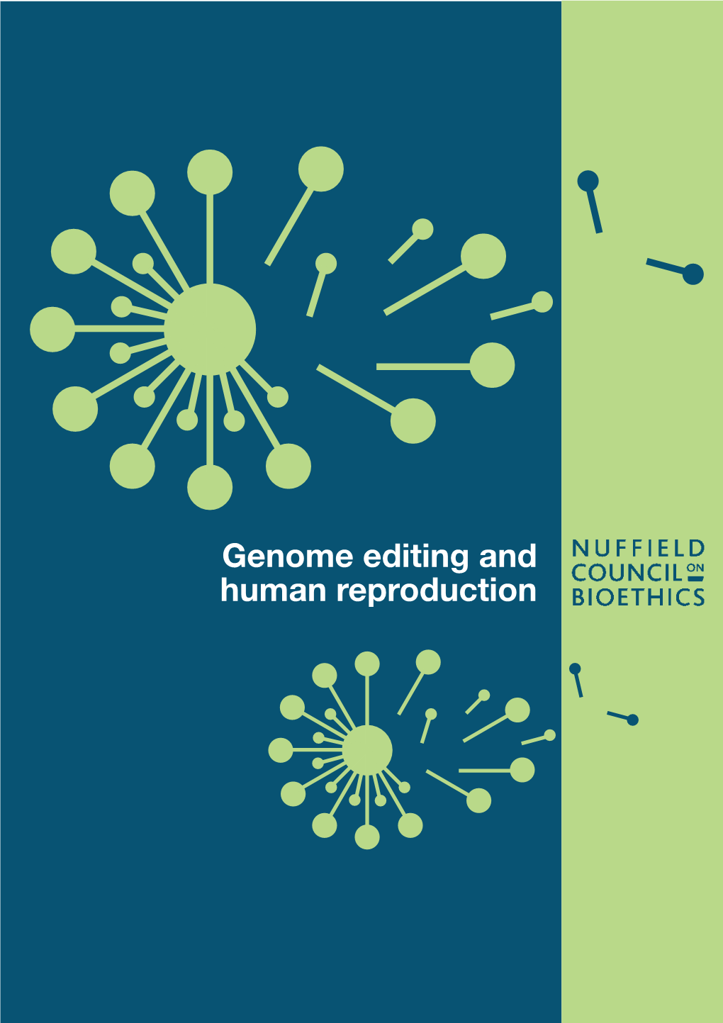 Genome Editing and Human Reproduction