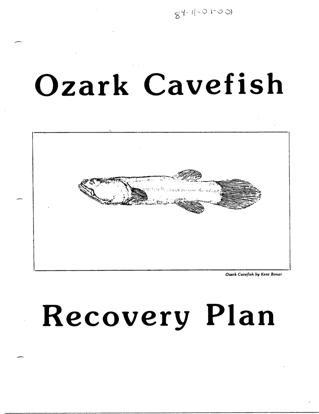 Ozark Cavefish Recovery Plan