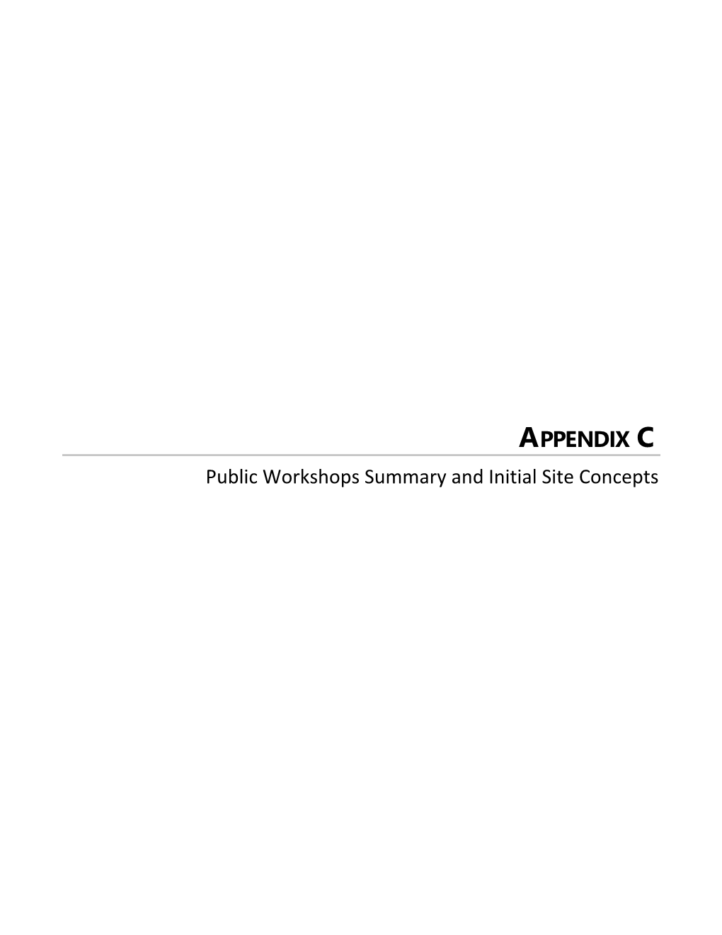 APPENDIX C Public Workshops Summary and Initial Site Concepts