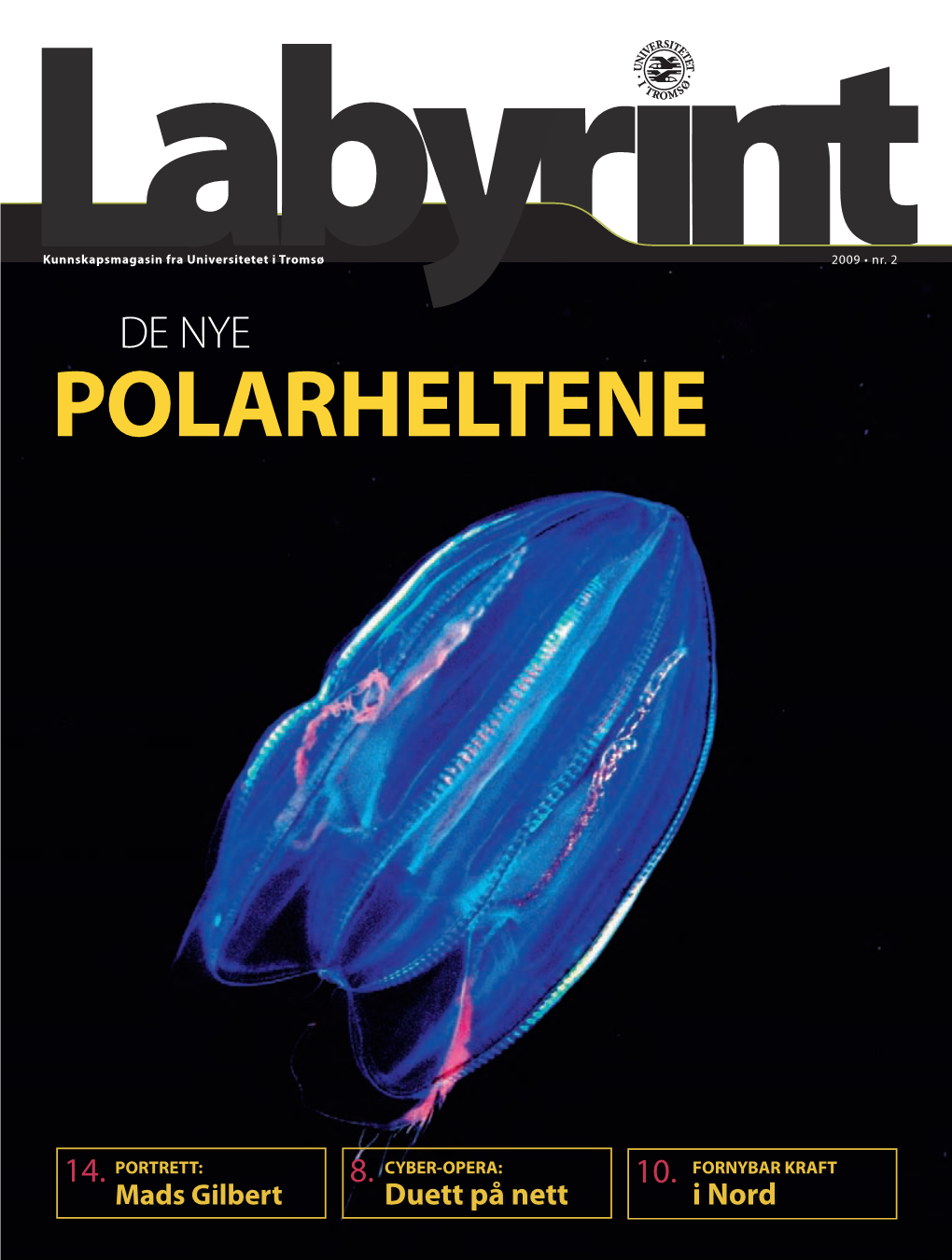 Labyrint02 2009Web.Pdf